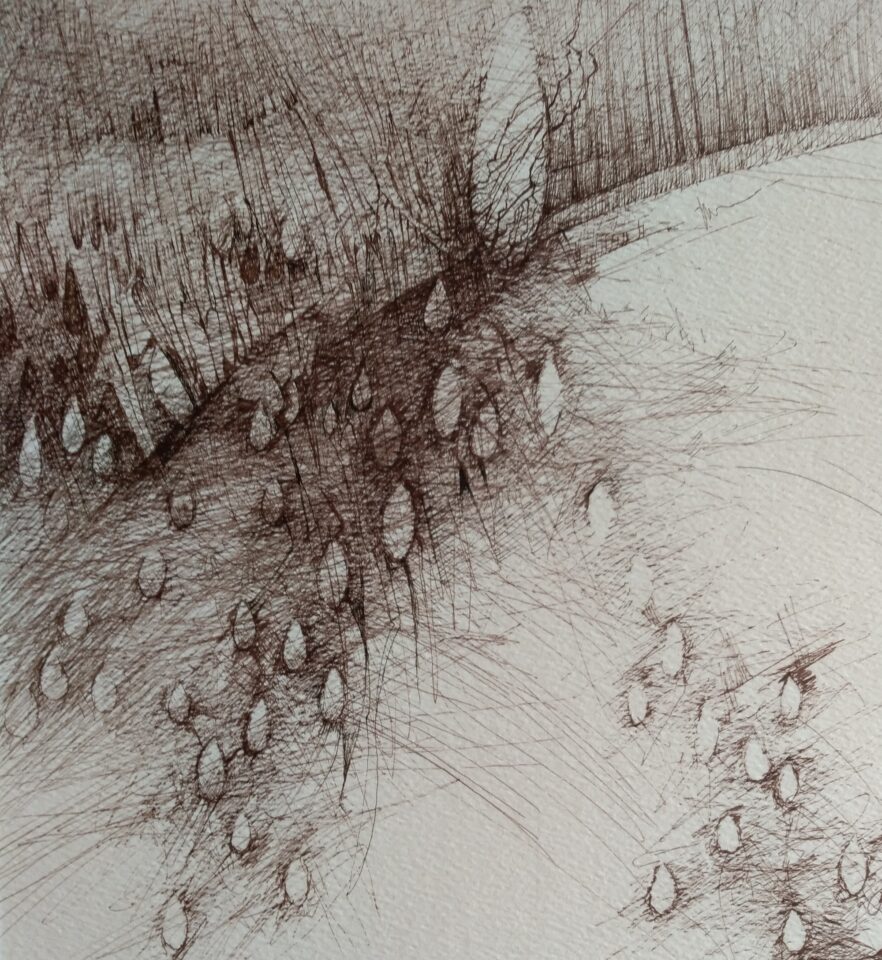 Zeichnung Aus der Serie Der Wald 9
