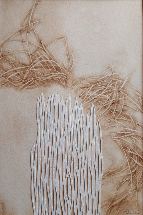 Gras 2
